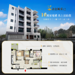 臺南金色風采12新成屋