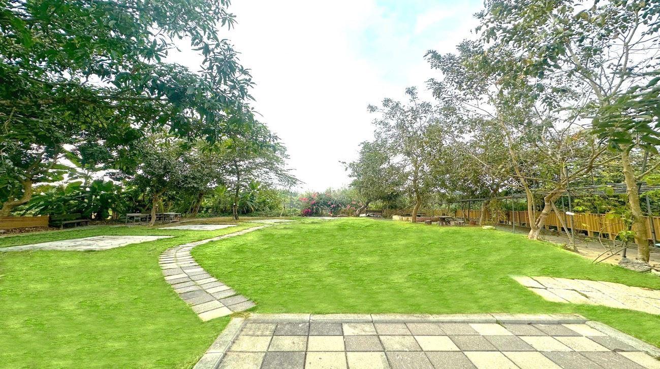 高雄社區營造成果驚豔！38公頃綠地變身休憩空間 屢獲大獎 都發局力推社區申請