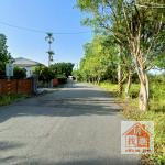 柳營外環道三角窗1.4甲農地