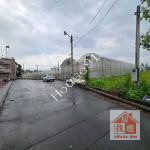 三界埔廟旁小農地