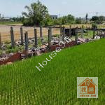 鹿草都市計畫內農地