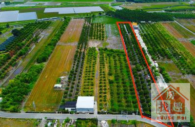 🌟屏東東港建安段/7.2分/臨路千坪方正農地