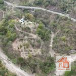 六龜荖濃段上智橋開心農場