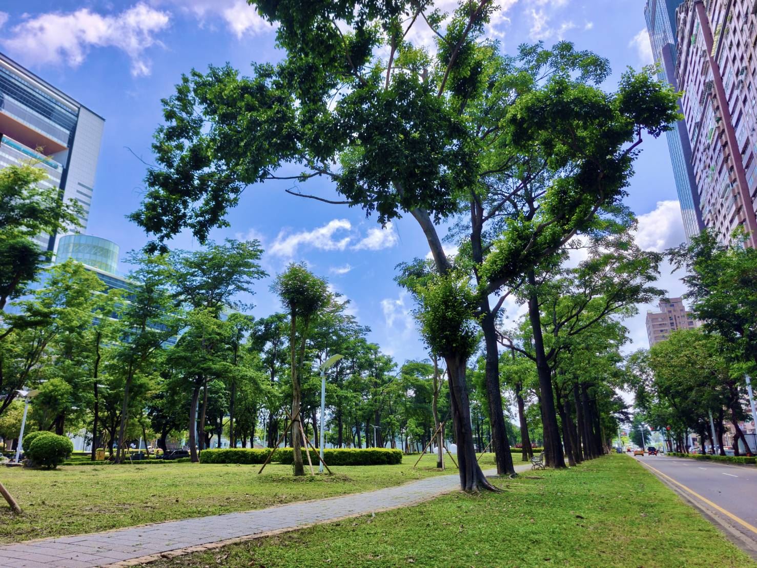 高雄市亞灣新光園道改善進入最後階段　8月完工帶來休閒與景觀全面升級